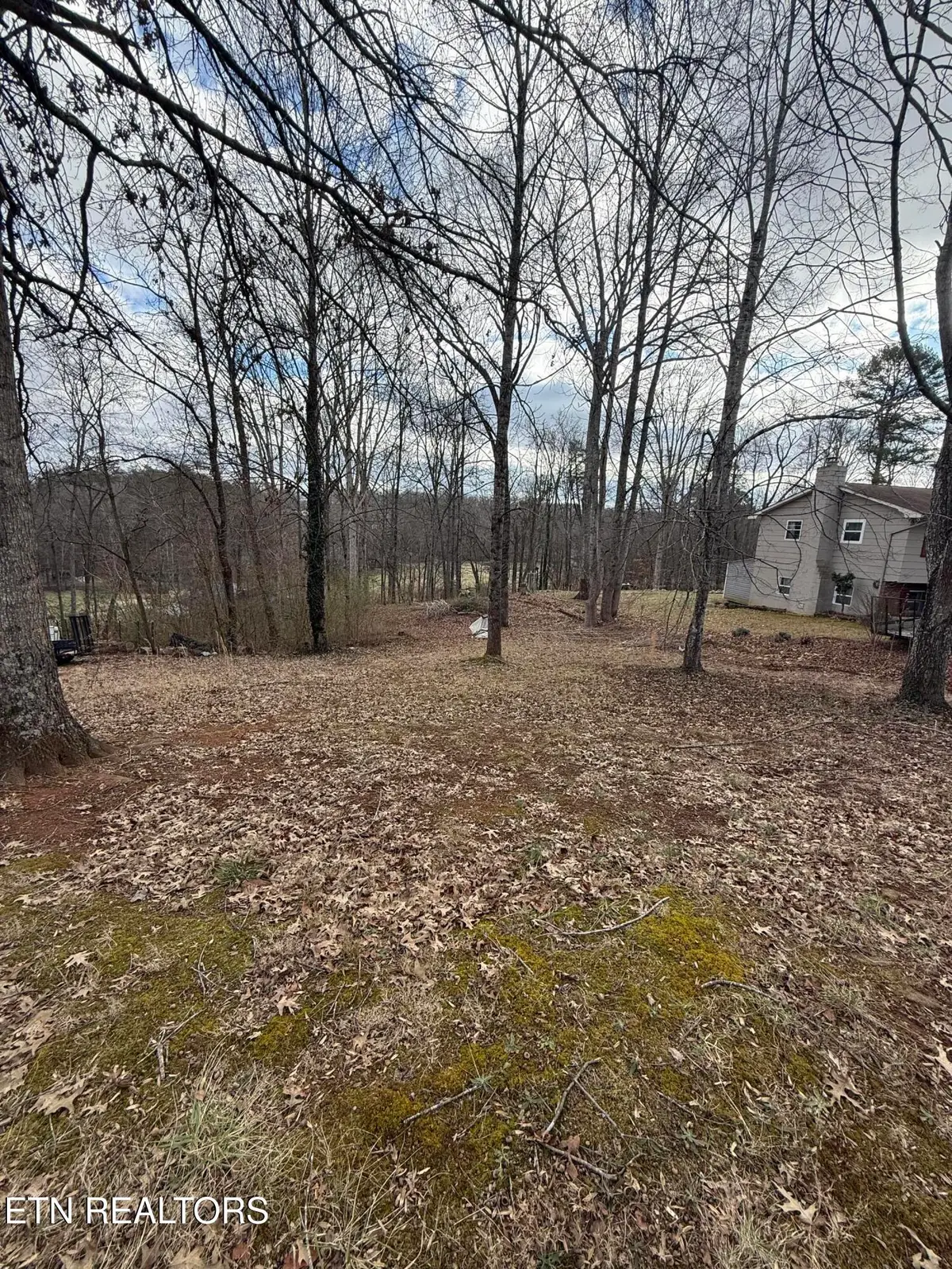 Melissa Lane, Maryville, TN 37801 - #1