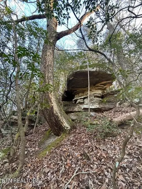 0 Deerhead Rd, Dunlap, TN 37327 - #2