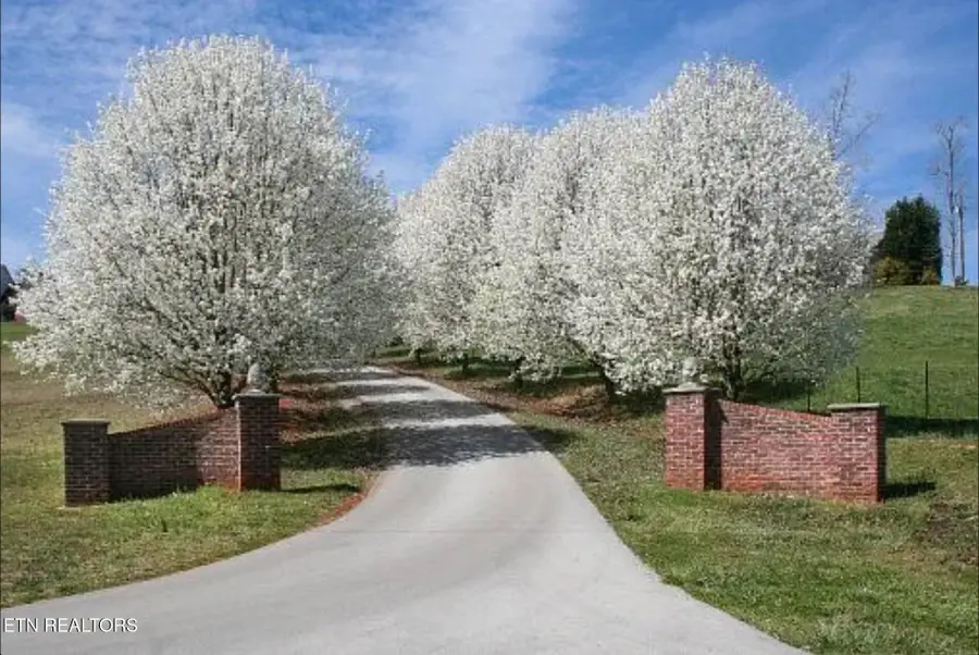 637 Abbey Way, Friendsville, TN 37737 - #2