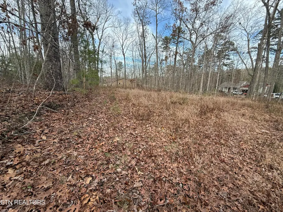 Cliffmont Rd, Jamestown, TN 38556 - #3
