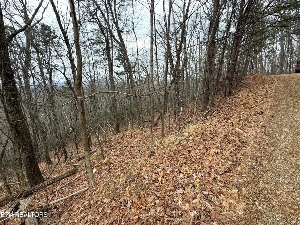 1.01 ac Green Forest Rd, Cosby, TN 37722 - #1