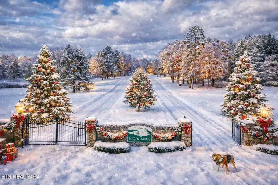 Eagle Blf, Jamestown, TN 38556 - #2