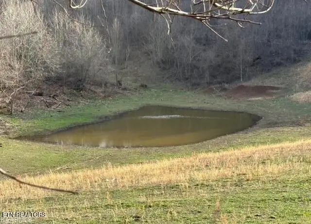 933 Frog Level Rd, Harrogate, TN 37752 - #2