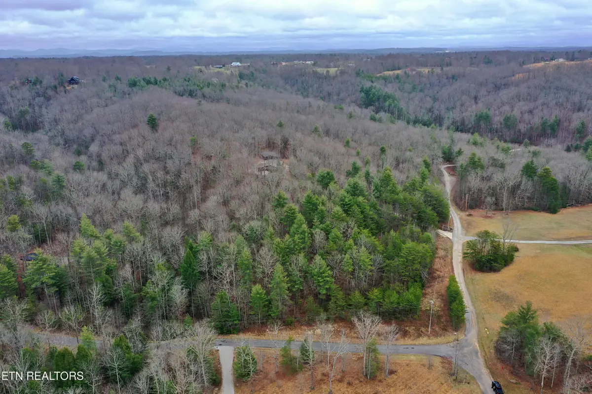 Bear Hollow Rd, Oneida, TN 37841 - #1