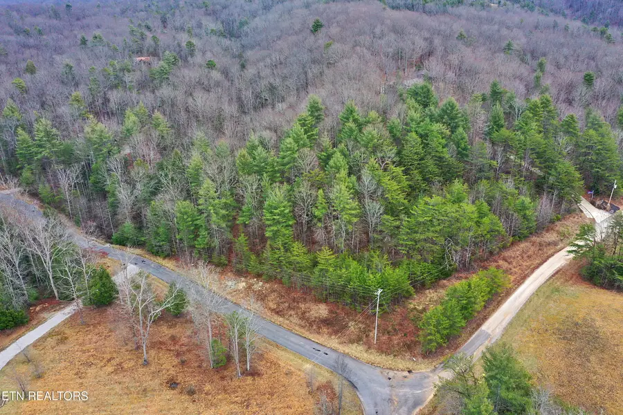 Bear Hollow Rd, Oneida, TN 37841 - #2