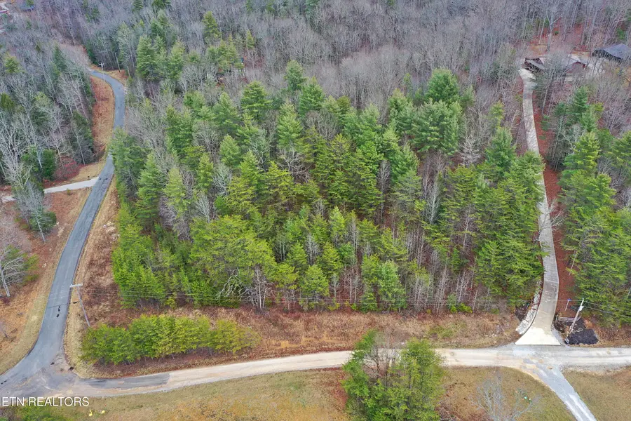 Bear Hollow Rd, Oneida, TN 37841 - #3