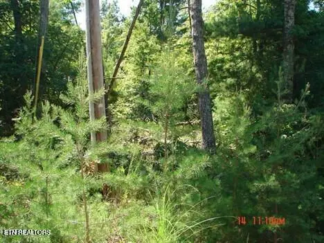 175 Pineridge Loop, Crossville, TN 38558