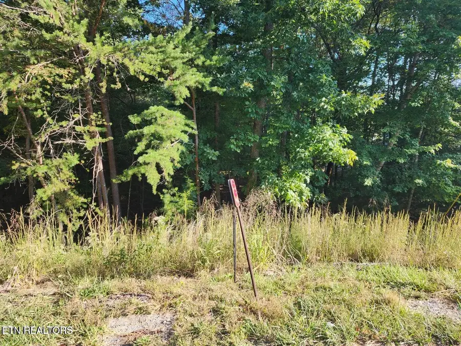 125 Valarian Drive, Fairfield Glade, TN 38558 - #2