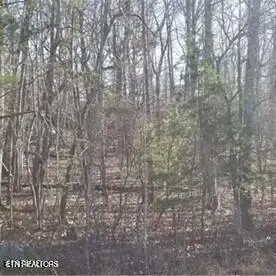 26 Harley Circle, Fairfield Glade, TN 38558