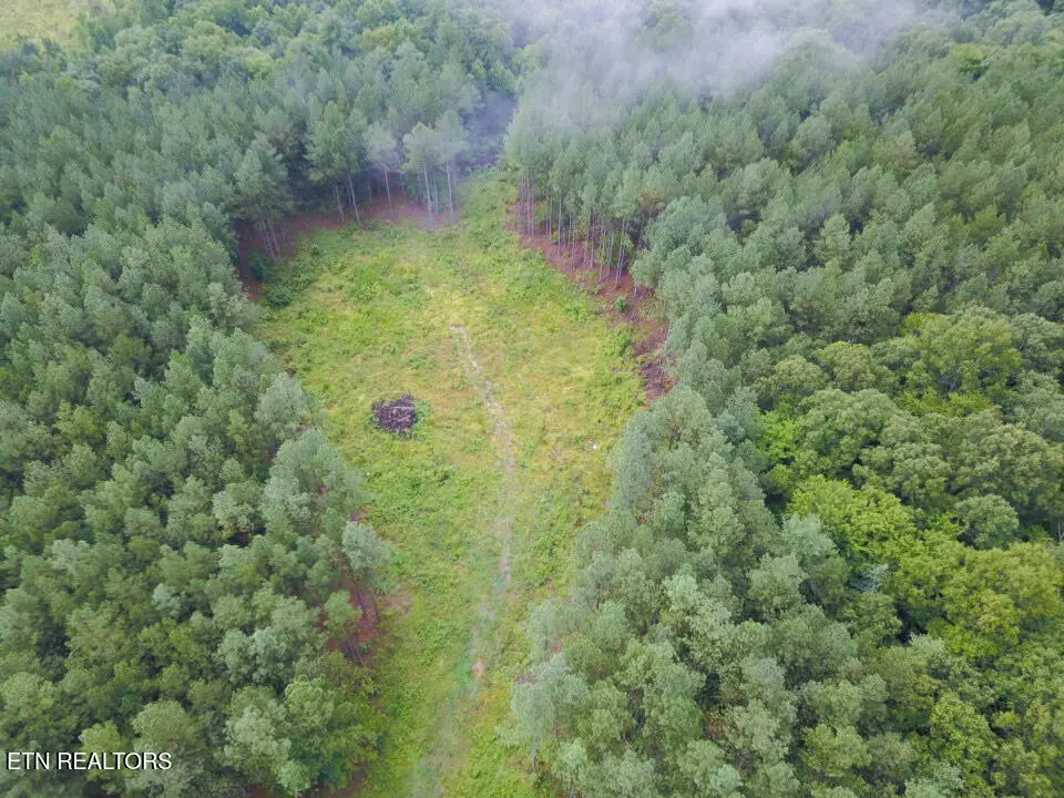 59 Union Hill Rd, Sunbright, TN 37872 - #1