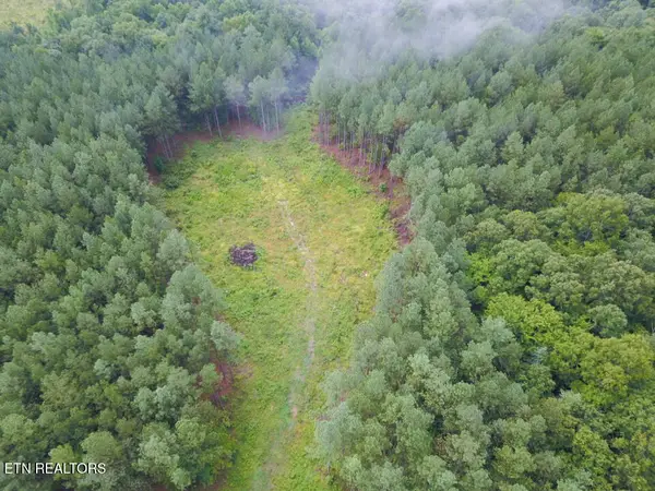 59 Union Hill Rd, Sunbright, TN 37872