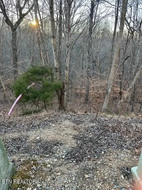 124 Old Hearth, Lafollette, TN 37766 - #1