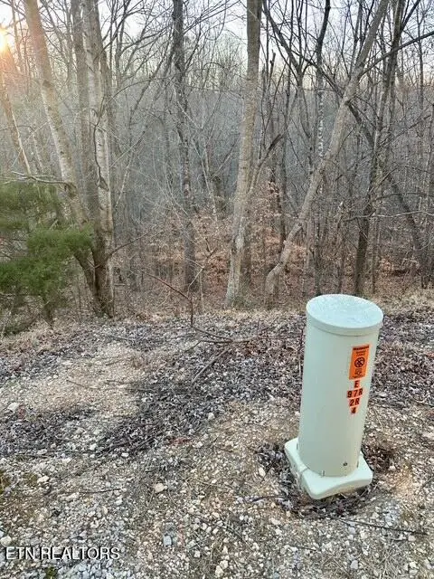 124 Old Hearth, Lafollette, TN 37766 - #3