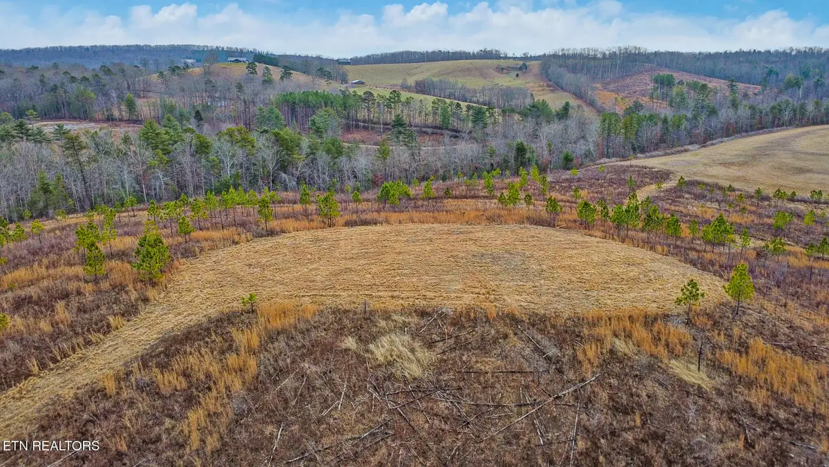 Possom Trot Rd. - Tract 2, Grandview, TN 37337 - #1