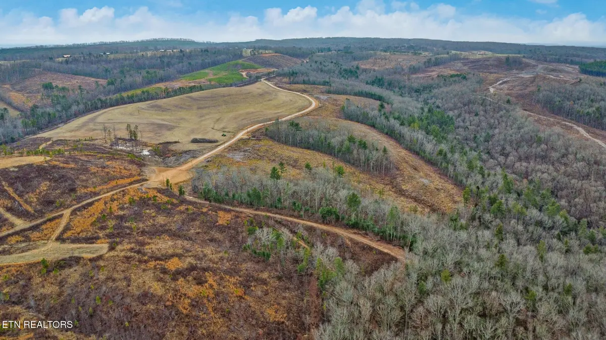 Possom Trot Rd. - Tract 5, Grandview, TN 37337 - #1