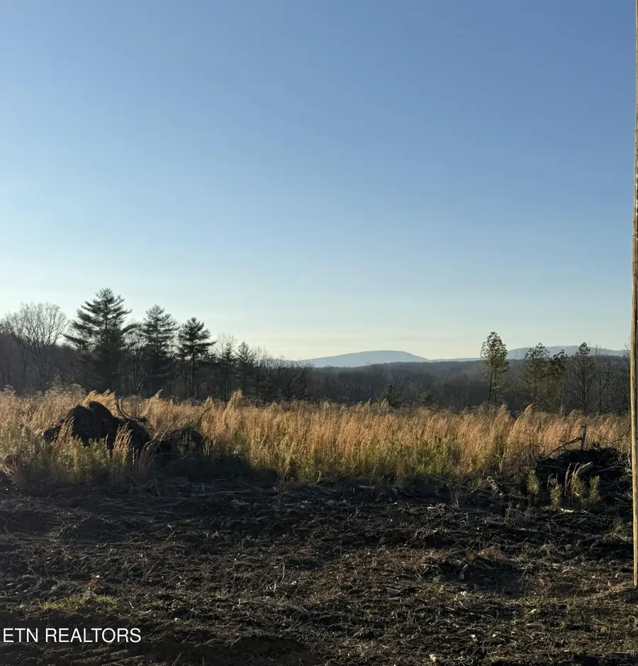 Possom Trot Rd. - Tract 12, Grandview, TN 37337 - #3