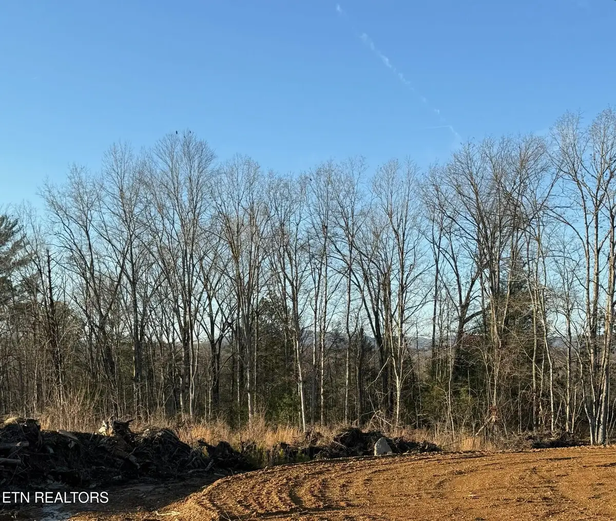 Possum Trot Rd. - Tract 14, Grandview, TN 37337 - #1