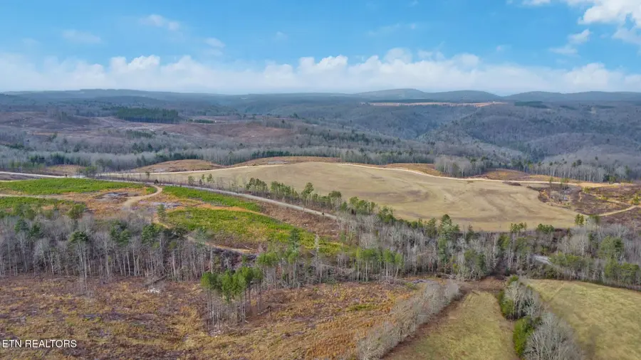 Possum Trot Rd. - Tract 14, Grandview, TN 37337 - #3