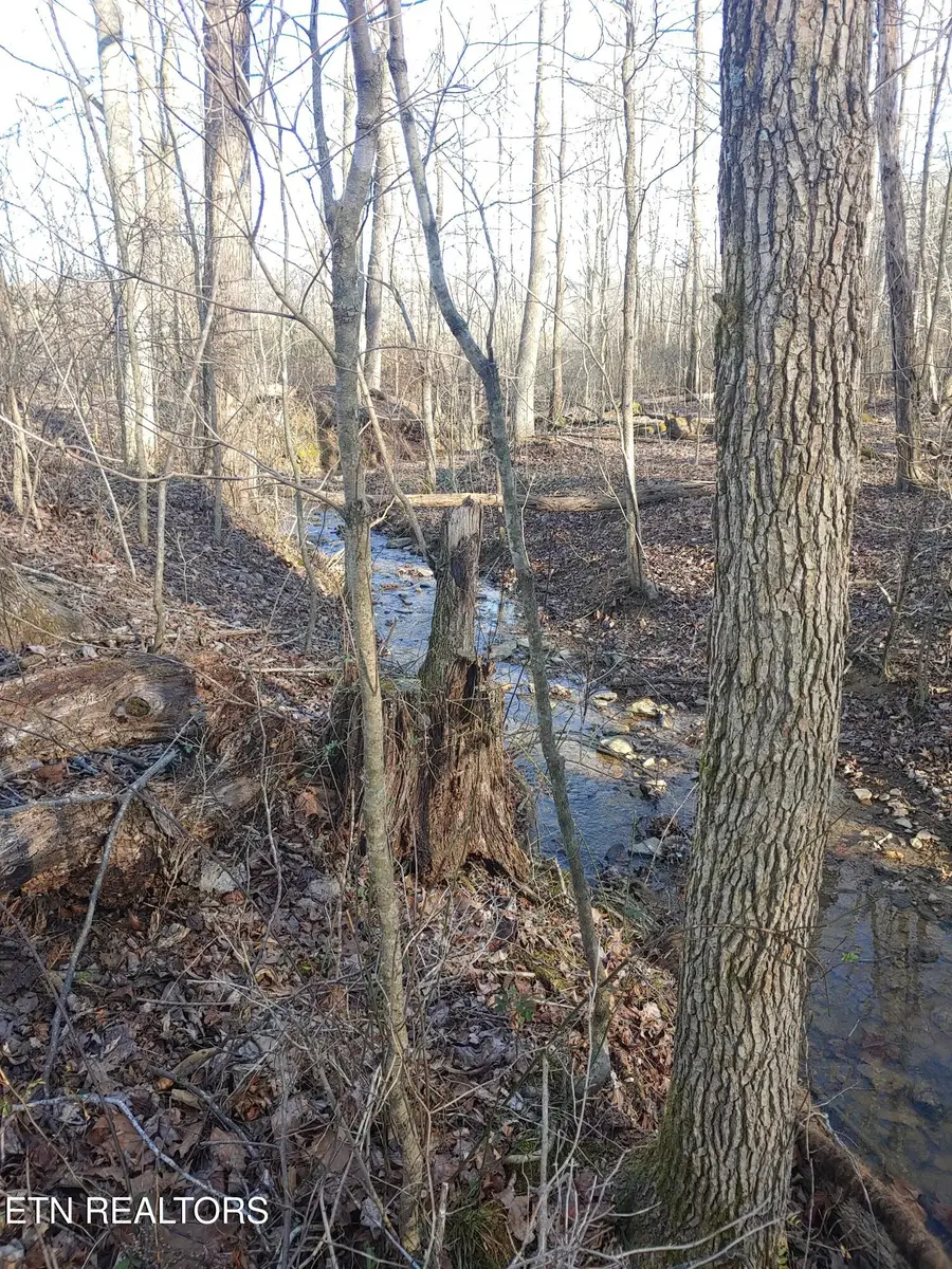 Mill Creek Rd, Sunbright, TN 37872 - #2
