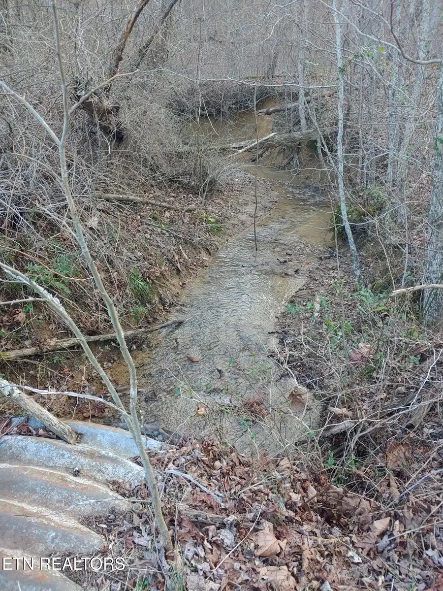 Mill Creek Rd, Sunbright, TN 37872 - #3