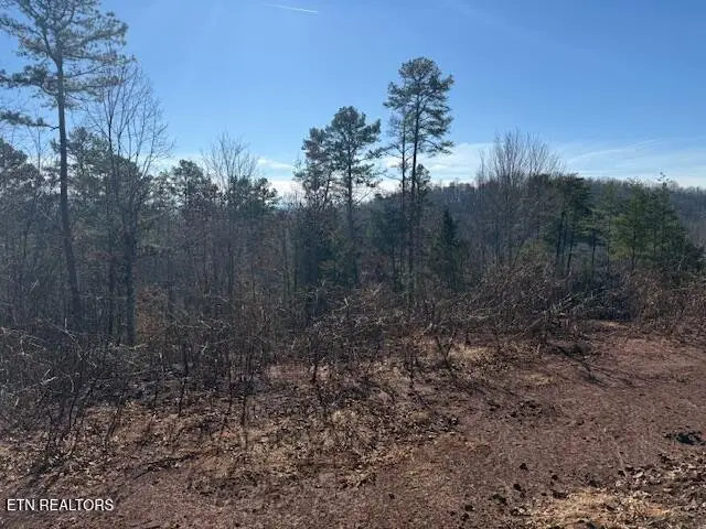 Lot 4 Sweetwater Vonore Rd, Sweetwater, TN 37874 - #2