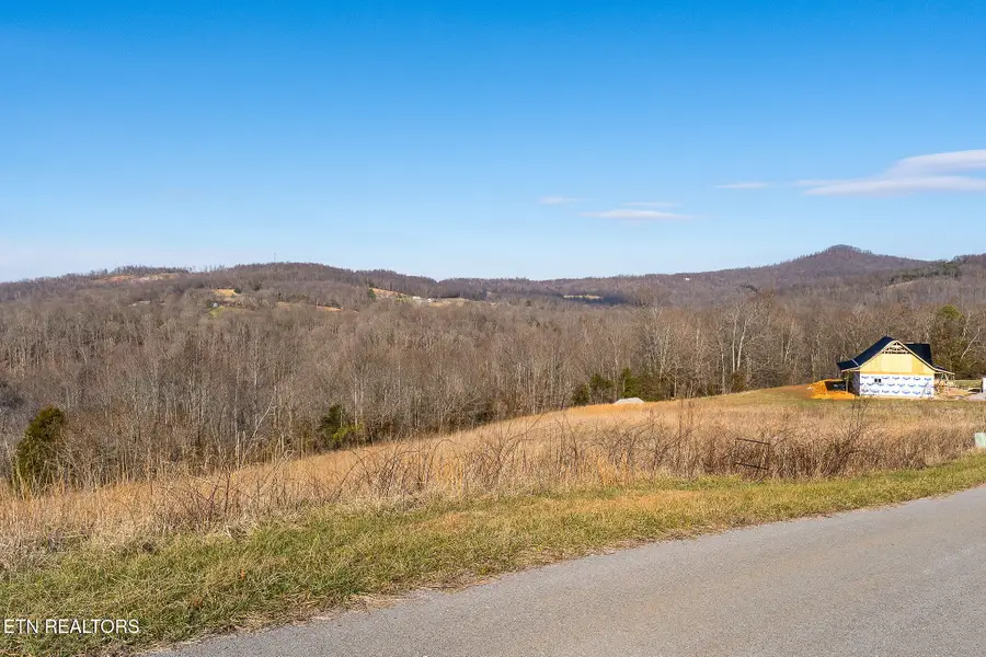 Lot 14 Amonett Circle, Byrdstown, TN 38549 - #3