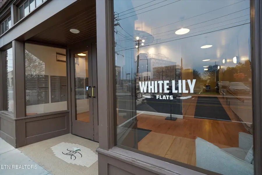 222 North Central St #309, Knoxville, TN 37917 - #3