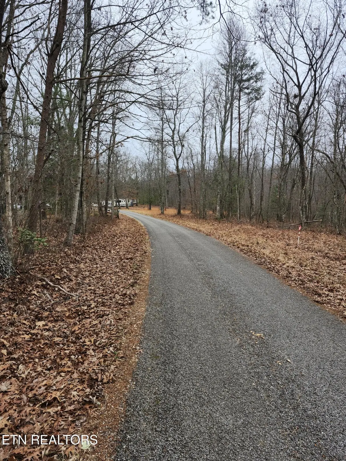 Peacock Lane, Deer Lodge, TN 37726 - #1