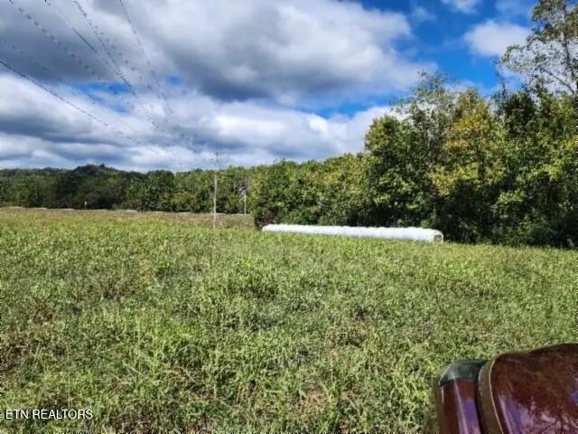 10.42ac State Highway 53, Gainesboro, TN 38562 - #2