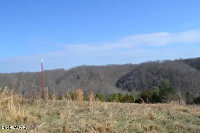 Lot 13 Lord Botetourt Court, Baxter, TN 38544 - #1