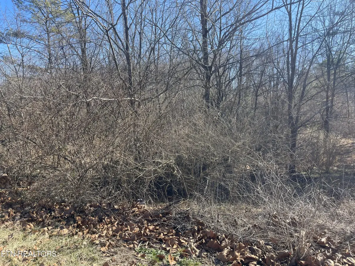 Livesay St, Crossville, TN 38555 - #1