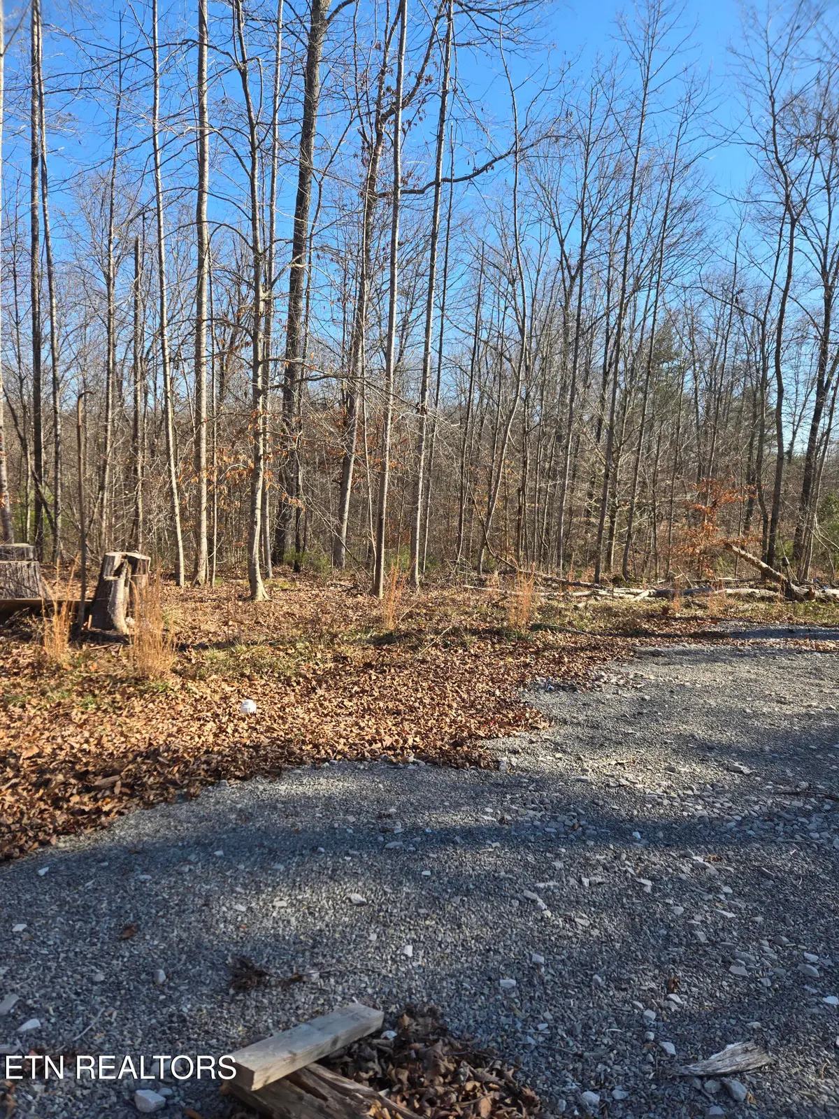 1434 Catoosa Rd, Wartburg, TN 37887 - #1