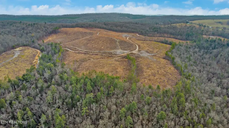 Possum Trot Rd.- 142.25 Acres, Grandview, TN 37337 - #2