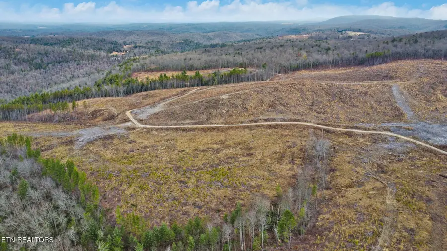 Possum Trot Rd.- 142.25 Acres, Grandview, TN 37337 - #3
