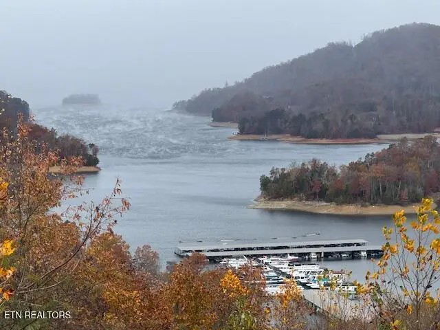 320 Sara Lane, Maynardville, TN 37807 - #3