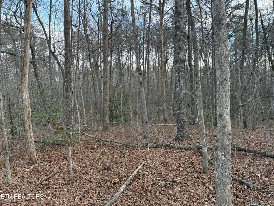 Crystal Point, Monterey, TN 38574 - #2