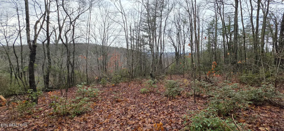 778 Eastridge Pass, Monterey, TN 38574 - #1