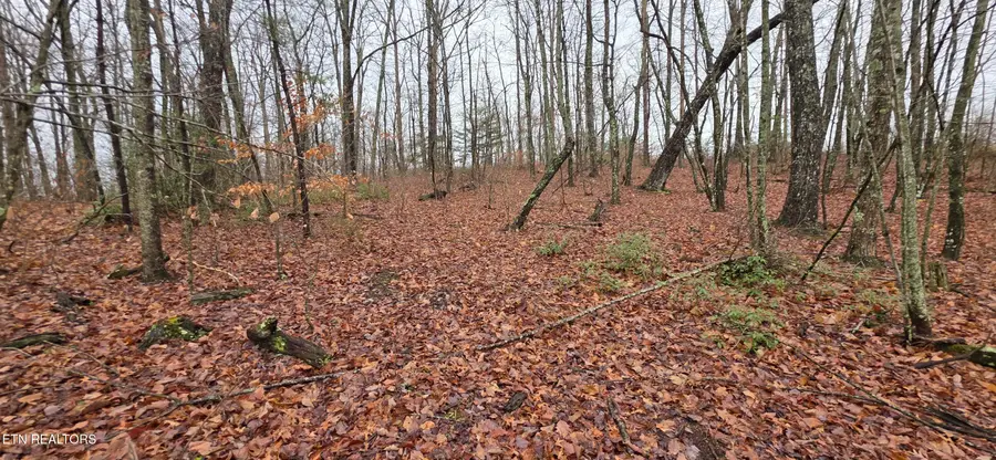 786 Eastridge Pass, Monterey, TN 38574 - #2