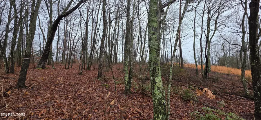 786 Eastridge Pass, Monterey, TN 38574 - #3