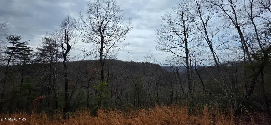 794 Eastridge Pass, Monterey, TN 38574 - #2