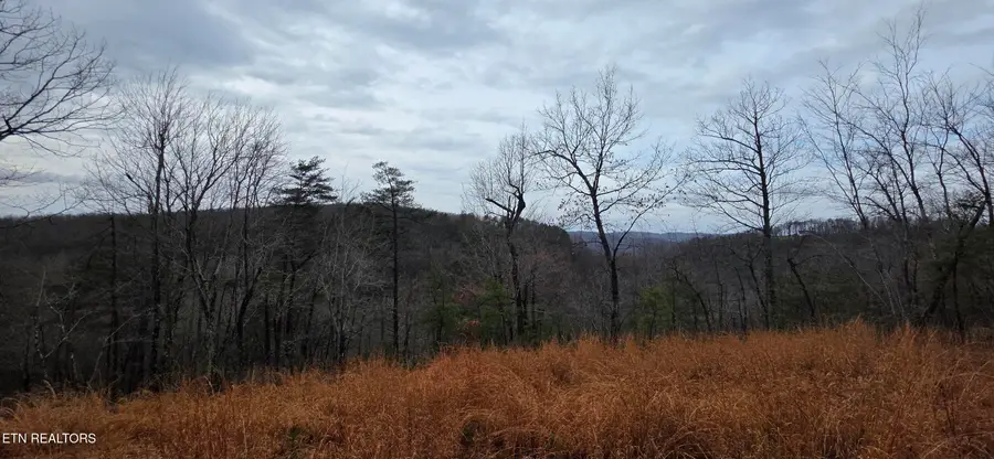 794 Eastridge Pass, Monterey, TN 38574 - #3