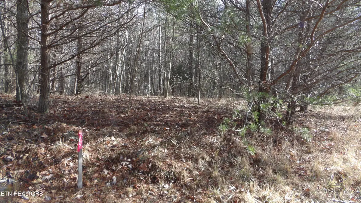 Lot 185 Meadow Lane, Spencer, TN 38585 - #1