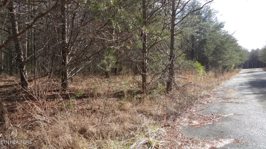 Lot 185 Meadow Lane, Spencer, TN 38585 - #3