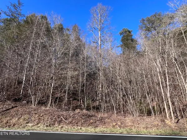Lot 17 & 18 Jones Cove Rd, Sevierville, TN 37876
