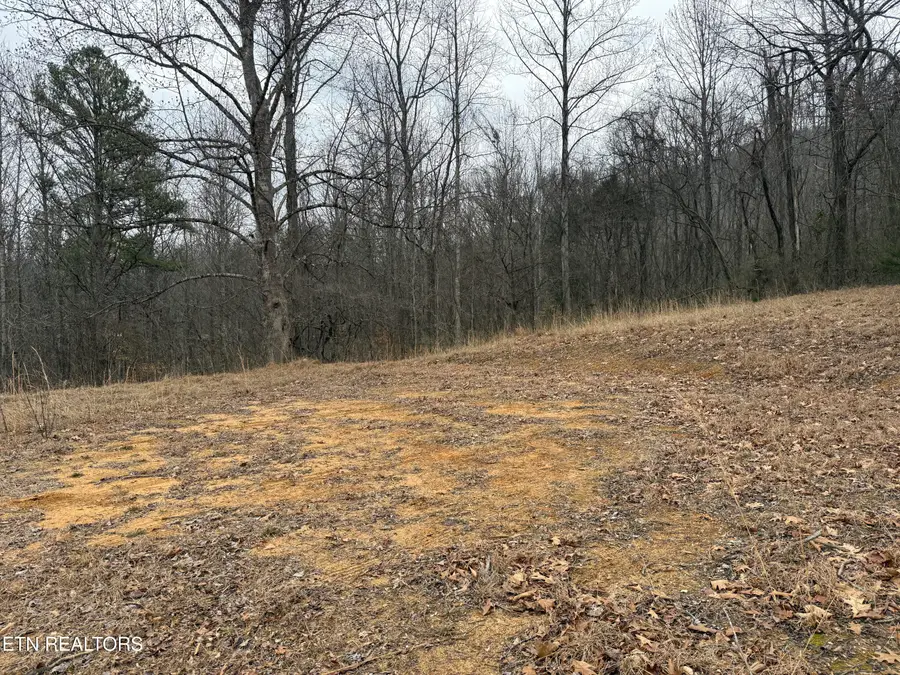 2675 Timberlake Drive, Cosby, TN 37722 - #2