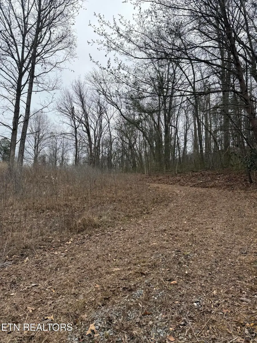 2675 Timberlake Drive, Cosby, TN 37722 - #3