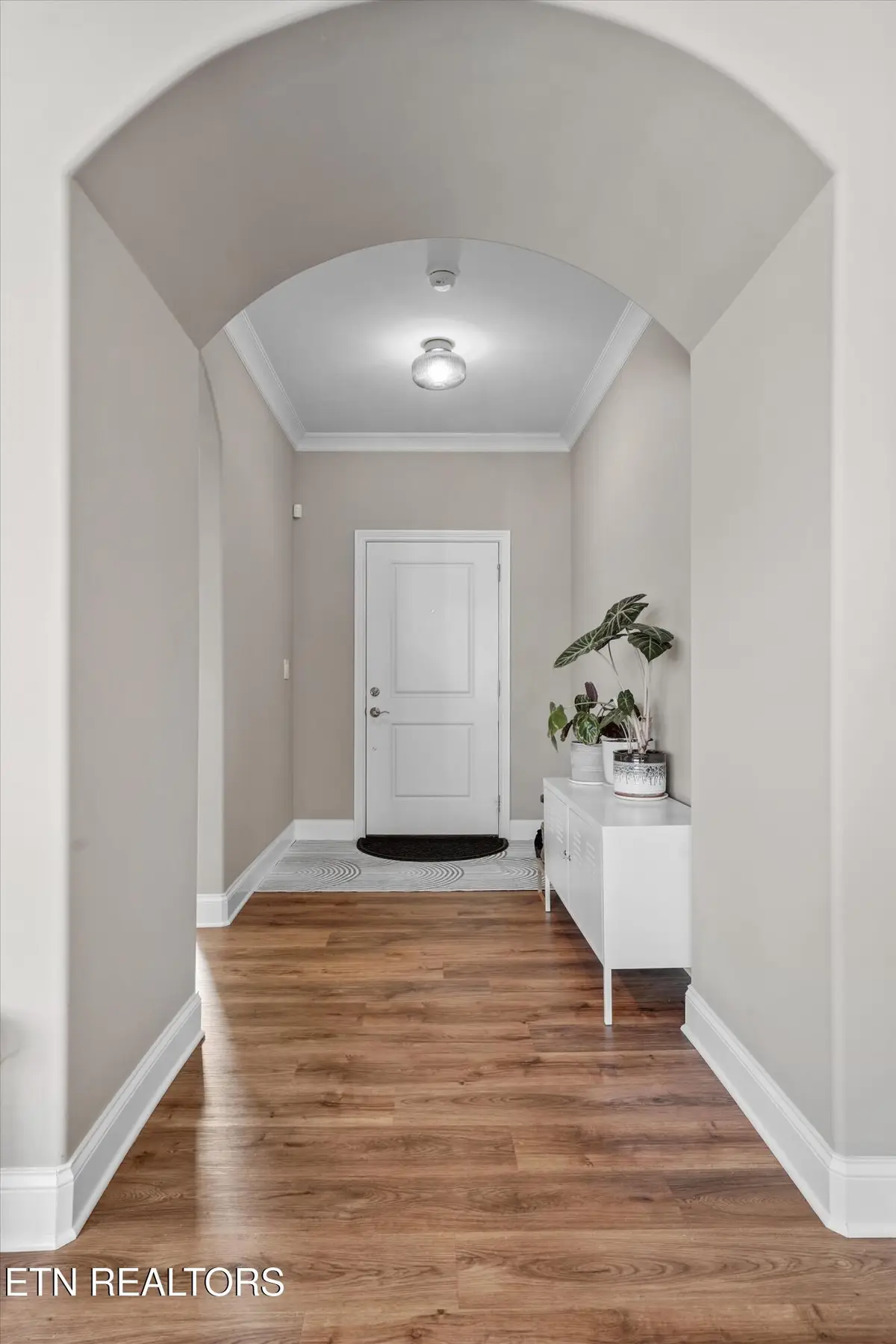 505 Chestnut Place, Loudon, TN 37774 - #1