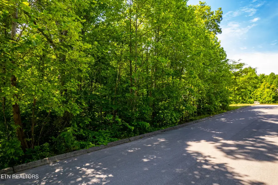 1055 Houston Springs Rd, Greenback, TN 37742 - #3