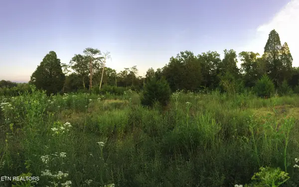 000 Thorngrove Pike, Strawberry Plains, TN 37871