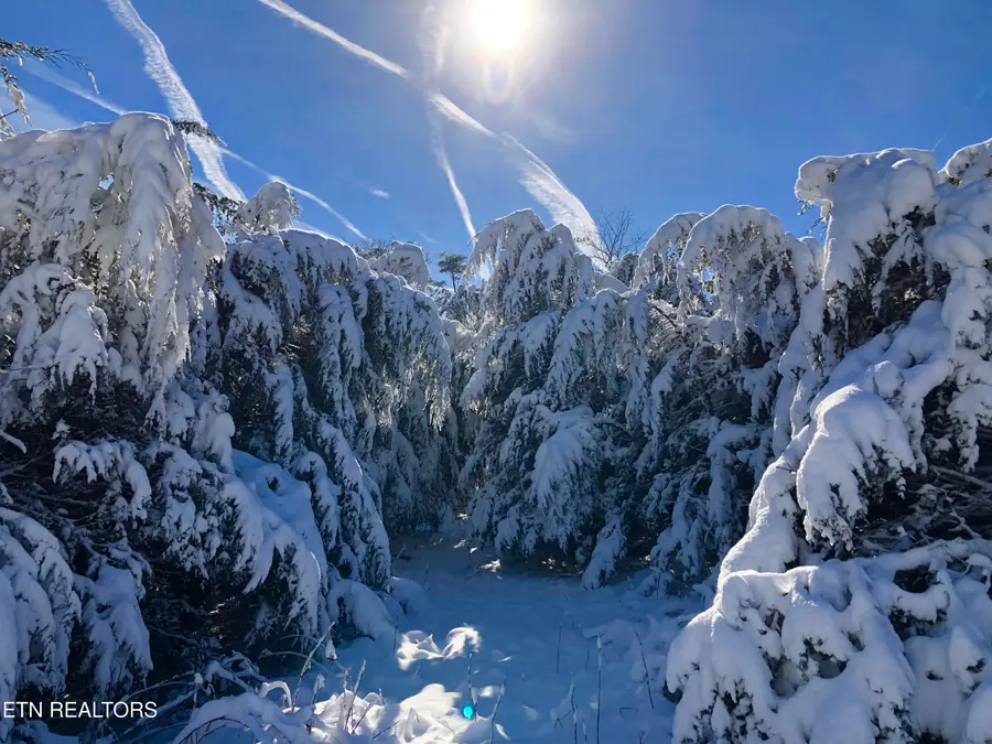 000 Thorngrove Pike, Strawberry Plains, TN 37871 - #3